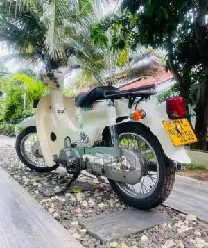 Honda Little Cub 2005