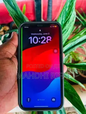 Apple iPhone 12 Pro (Used)