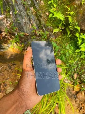 Apple iPhone 13 Pro (Used)