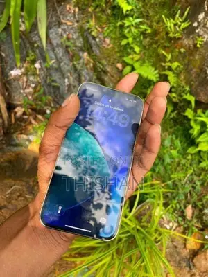 Apple iPhone 13 Pro (Used)