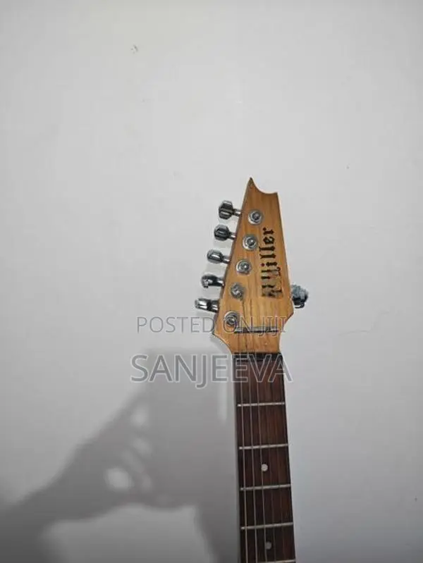 Electric Guitar