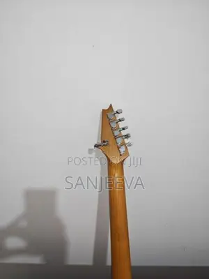 Electric Guitar