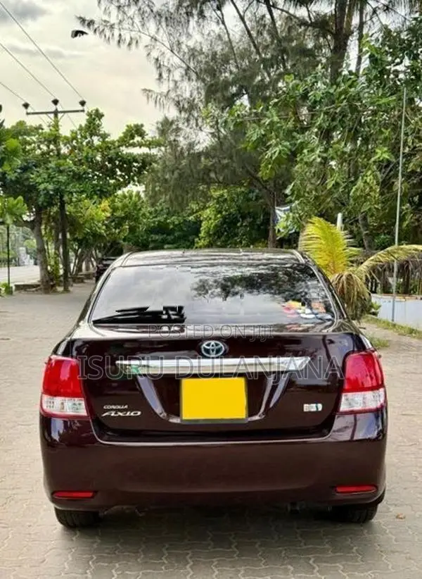 Toyota Axio 2014