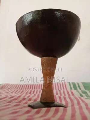 Natural Coconut Shell Cups