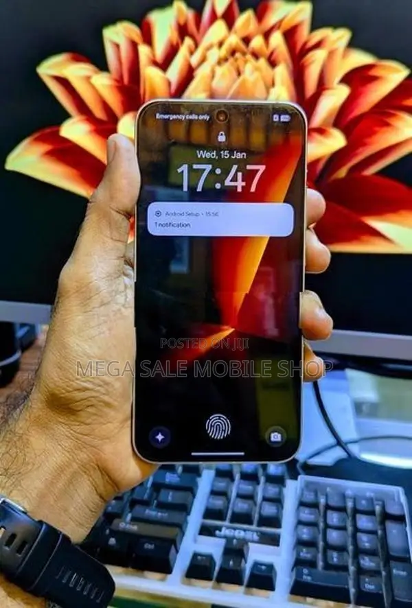 Oppo Reno 256GB (Used)