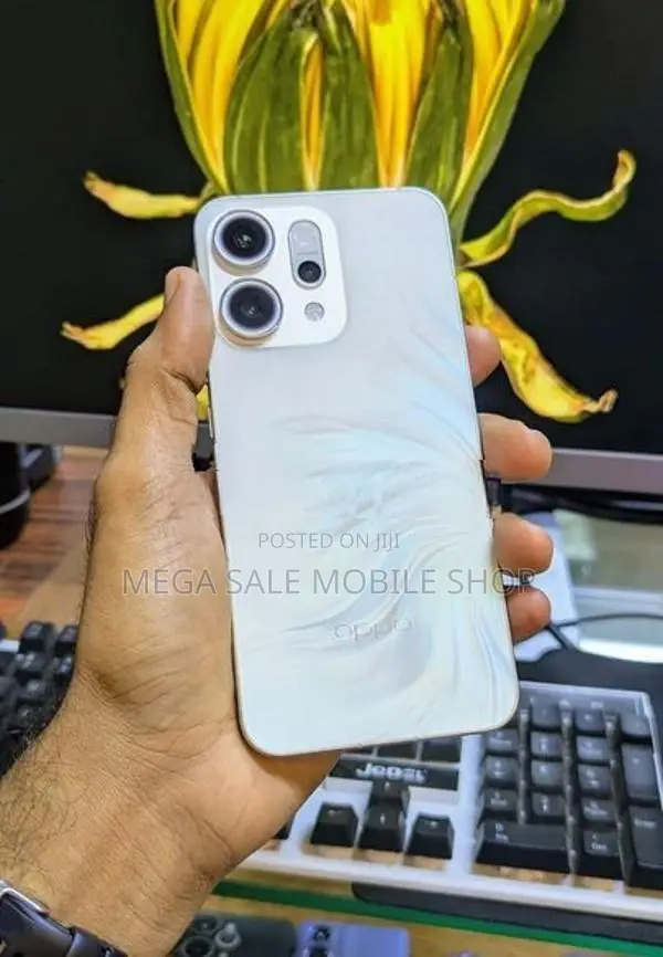 Oppo Reno 256GB (Used)