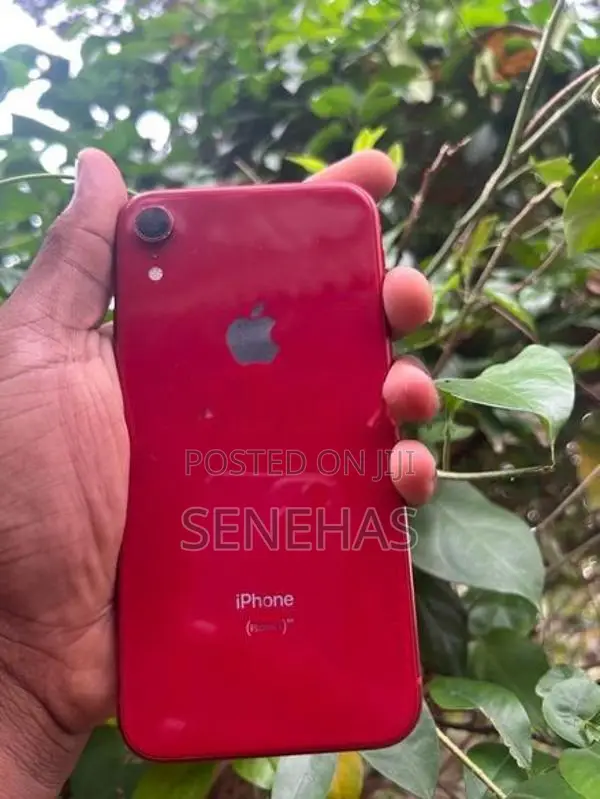 Apple iPhone XR (Used)