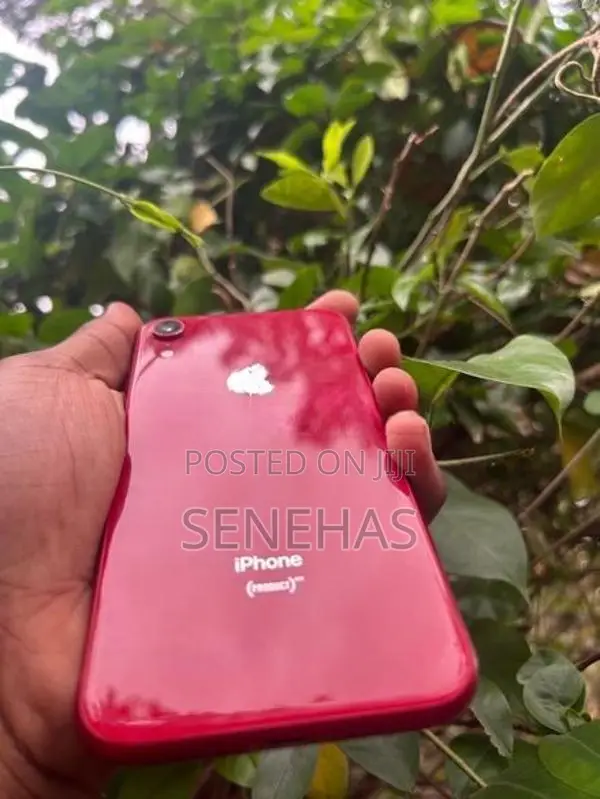 Apple iPhone XR (Used)
