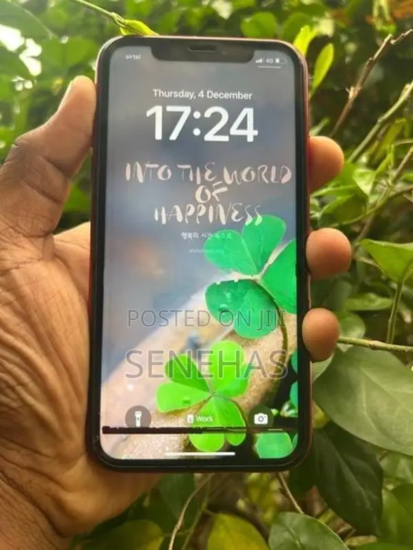 Apple iPhone XR (Used)