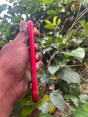 Apple iPhone XR (Used)