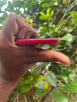 Apple iPhone XR (Used)