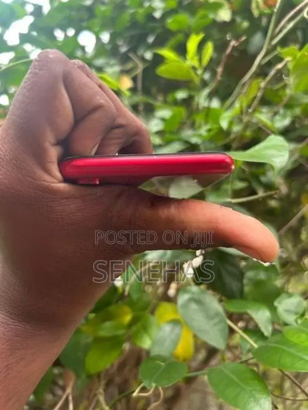 Apple iPhone XR (Used)