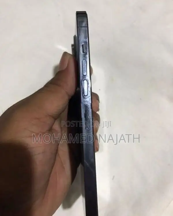 Apple iPhone 13 Pro Max (Used)
