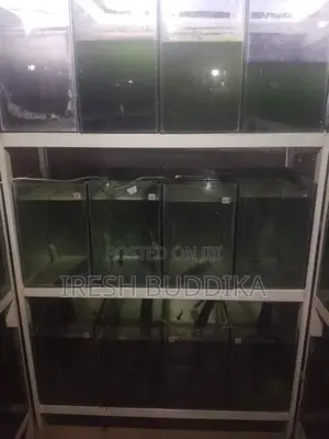 Fish Tanks