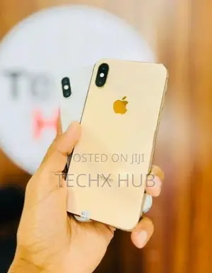 Apple iPhone XS 256GB (Used)