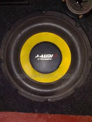 J Audio 10 Inch Double Magnet 2 Speaker