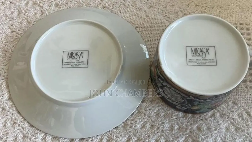 Porcelain Dinner Plates