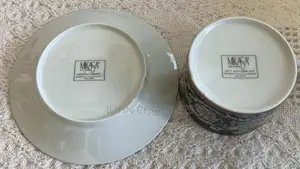 Porcelain Dinner Plates