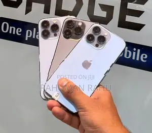 Apple iPhone 13 Pro 256GB (Used)