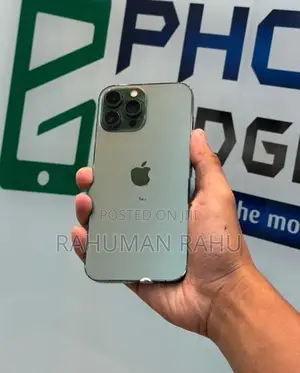 Apple iPhone 13 Pro Max 256GB (Used)