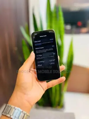 Apple iPhone 15 Pro 256GB (Used)