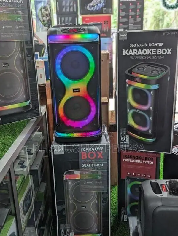 Brodu BTS-2099 High Power Party Speakers with Dual Mic