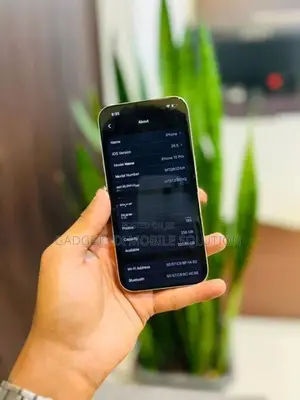 Apple iPhone 15 Pro 256GB (Used)