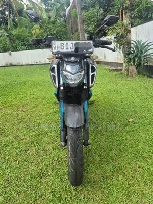 Yamaha FZ S 2019
