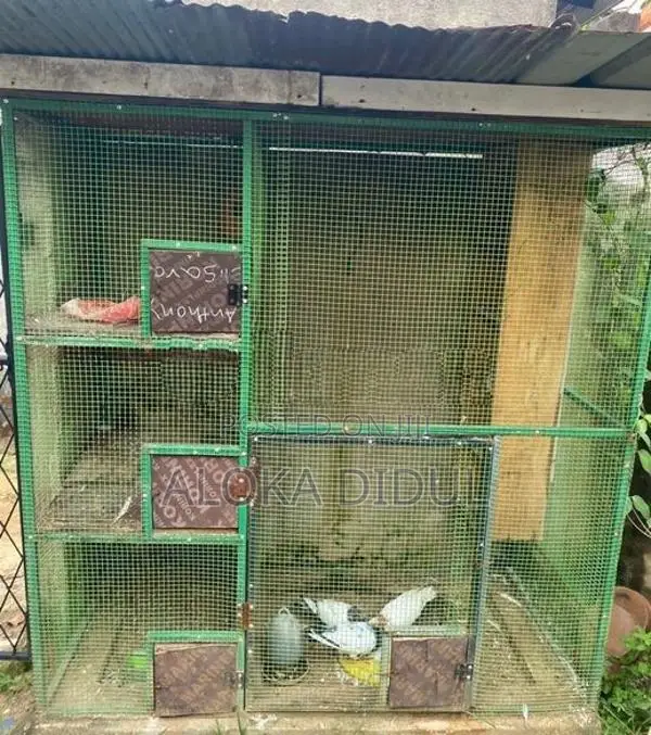 lovebirds/ pigeons cage