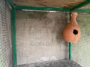 lovebirds/ pigeons cage