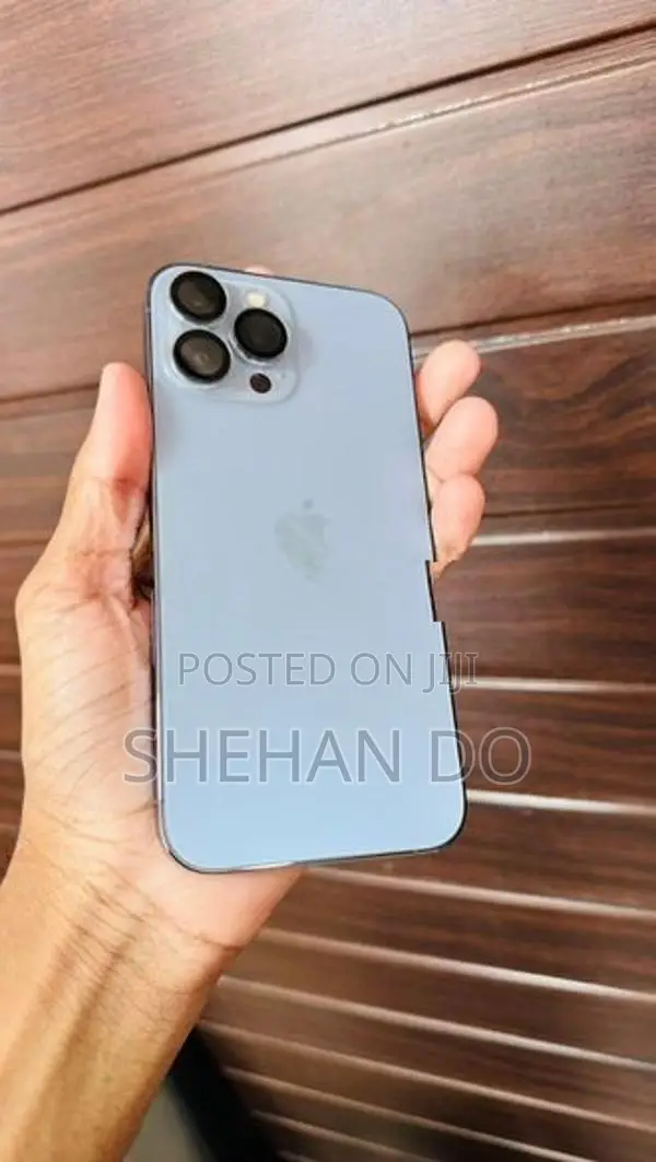 Apple iPhone 13 Pro Max (Used)