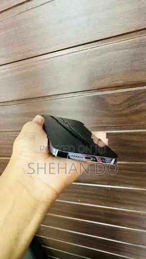 Apple iPhone 13 Pro Max (Used)