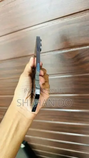 Apple iPhone 13 Pro Max (Used)