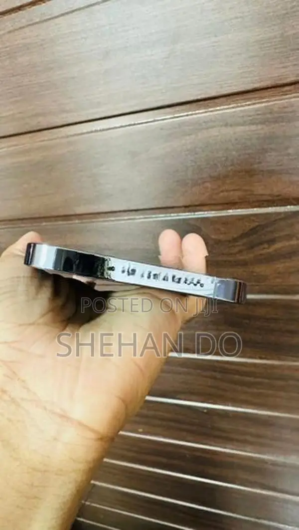 Apple iPhone 13 Pro Max (Used)