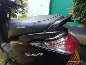 Hero Pleasure 2006