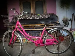 lumala ledis cable cycle