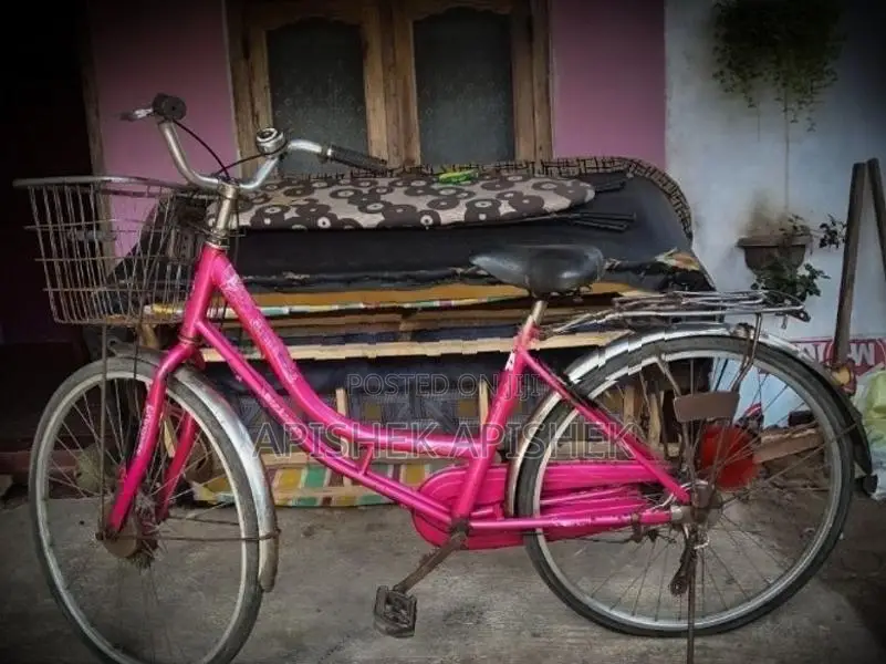 lumala ledis cable cycle