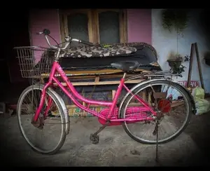 lumala ledis cable cycle