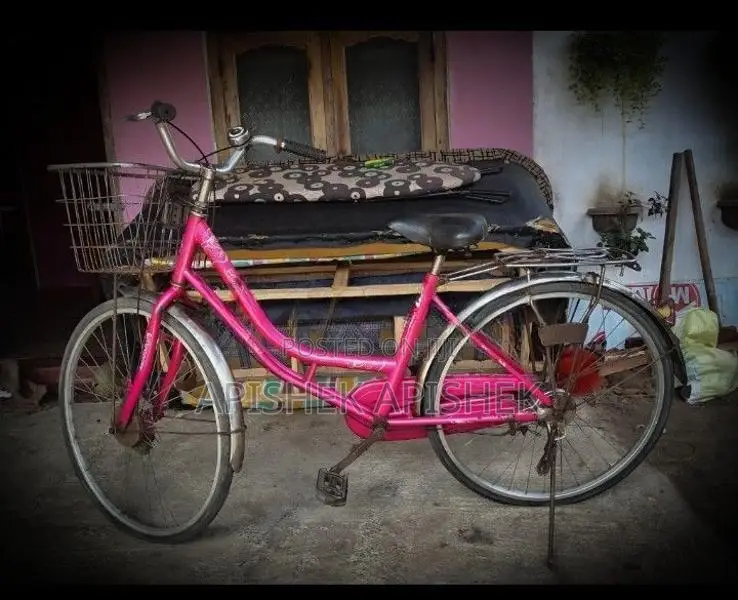 lumala ledis cable cycle