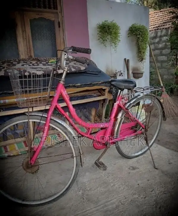 lumala ledis cable cycle