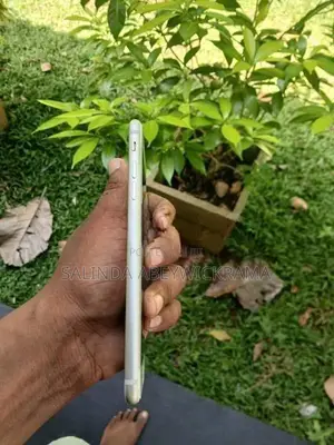 Apple iPhone 7 Plus (Used)