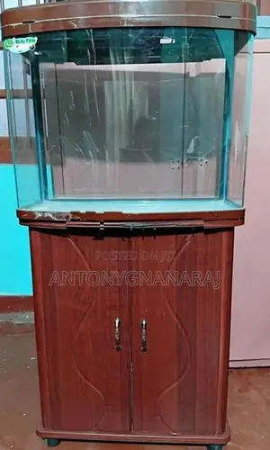 Fish Tank