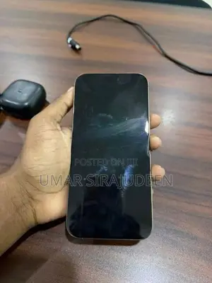 Apple iPhone 16 Pro Max (Used)