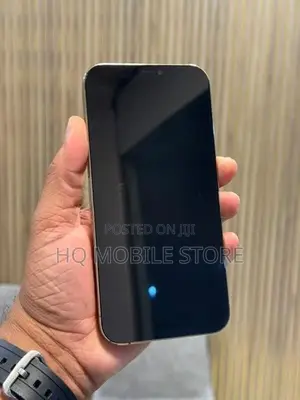 Apple iPhone 12 Pro Max 256GB (Used)