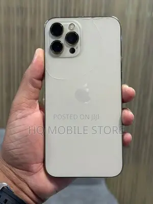 Apple iPhone 12 Pro Max 256GB (Used)