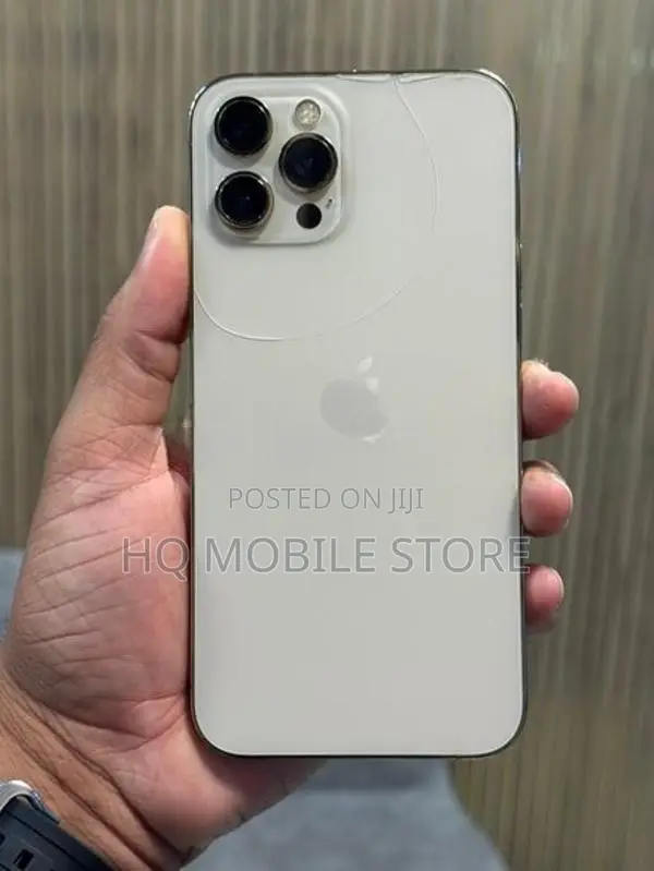 Apple iPhone 12 Pro Max 256GB (Used)
