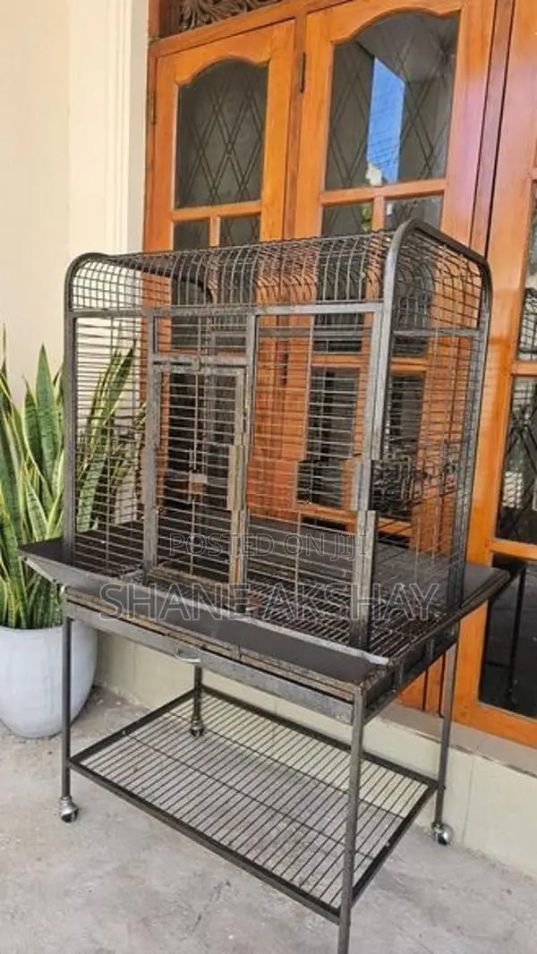 Bird Cage