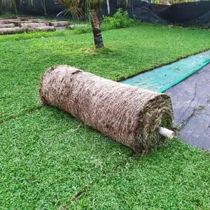 Malaysian Grass with Interlock Paving