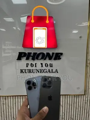 Apple iPhone 13 Pro Max (Used)