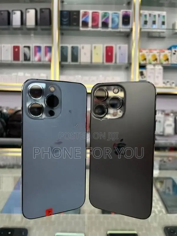 Apple iPhone 13 Pro Max (Used)